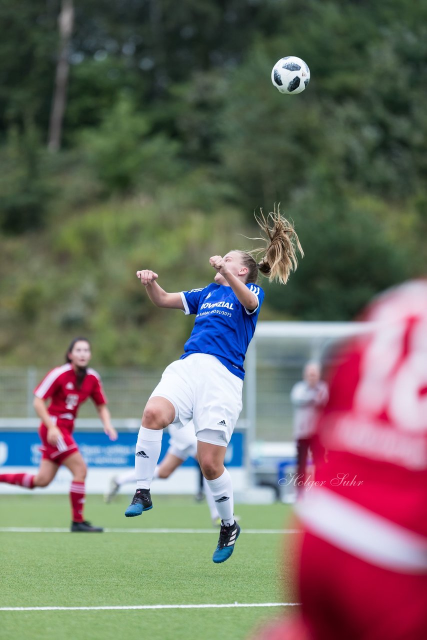 Bild 79 - F FSG Kaltenkirchen - SV Wahlstedt : Ergebnis: 6:1